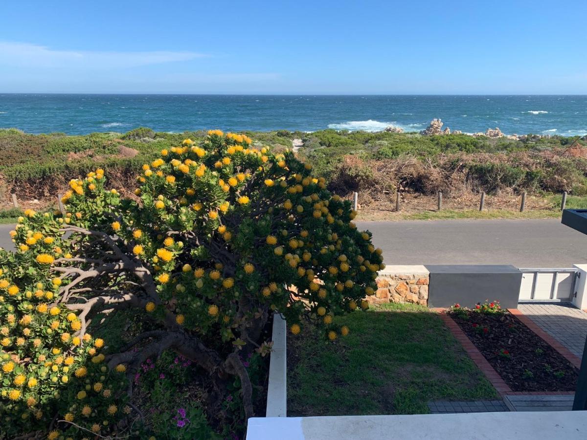 Bungalow By The Sea Near Cape Town Apartment Kleinmond Exterior photo